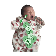 [LINEスタンプ] いろはchannnn