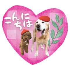 [LINEスタンプ] バディーとクオン♡