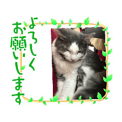 [LINEスタンプ] 僕の気持ちは