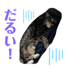 [LINEスタンプ] かなちんと愉快な仲間達2