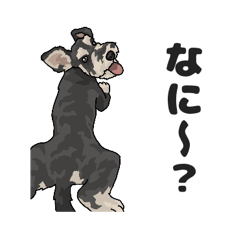 [LINEスタンプ] ミニチュアシュナウザー 1