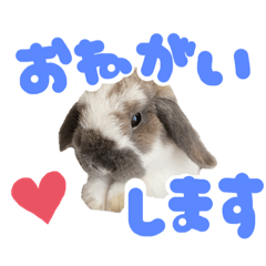 [LINEスタンプ] ホーランドロップのいなり