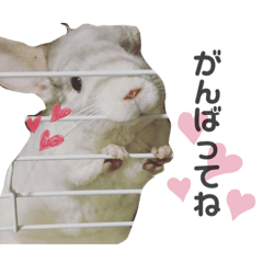 [LINEスタンプ] 僕はだいふく