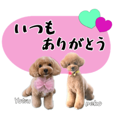 [LINEスタンプ] よつば♡ペニー☆仲良しスタンプl202