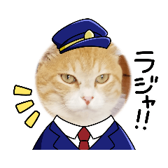 [LINEスタンプ] 保護猫4兄弟のあいさつスタンプ