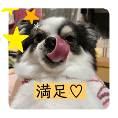 [LINEスタンプ] るぅたんペットファミリー第5弾