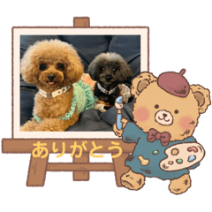 [LINEスタンプ] プードル・あいさつ