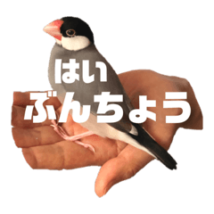 [LINEスタンプ] 風のふうちゃん