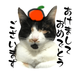 [LINEスタンプ] にゃお＆そー7