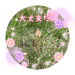 [LINEスタンプ] これからも大丈夫