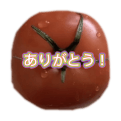 [LINEスタンプ] 食べ物のスタンプfeat.Kan＆On