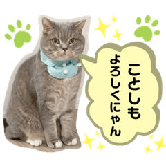 [LINEスタンプ] ぎんたまる(イベント用)