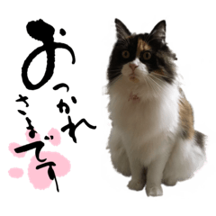 [LINEスタンプ] 月ちゃんスタンプ！