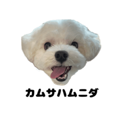 [LINEスタンプ] オレまるくん