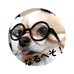 [LINEスタンプ] こましゃん ④