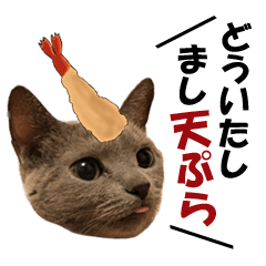 [LINEスタンプ] ロシアンブルーねこ さくら ダジャレ NO.2
