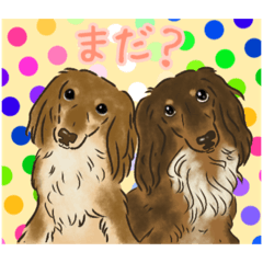 [LINEスタンプ] ミニチュアダックス兄弟日常会話