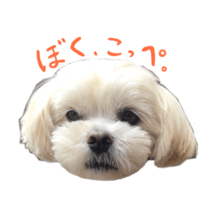 [LINEスタンプ] ぼく、こっぺ