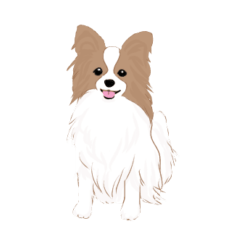 [LINEスタンプ] 毎日使えるパピヨン犬スタンプ3