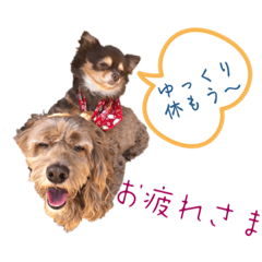 [LINEスタンプ] ぷりとお友達 ぷりん＆アリスバージョン