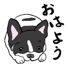 [LINEスタンプ] フレブヒ 1