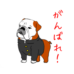 [LINEスタンプ] こてつ ver2