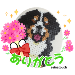 [LINEスタンプ] seinatouchのアイロンビーズ バーニーズ♪