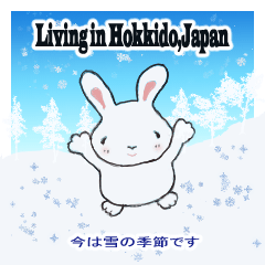 [LINEスタンプ] ウサギ的感覚 V