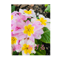 [LINEスタンプ] 地球劇場6〜花咲き香る4〜