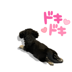 [LINEスタンプ] チワックスひま3