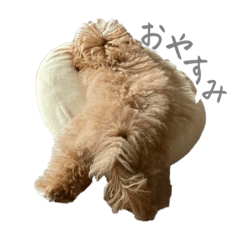 [LINEスタンプ] 犬のロキくん