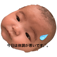 [LINEスタンプ] 面白い日常です。