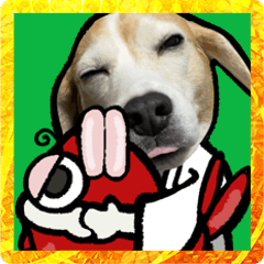 [LINEスタンプ] ビーグル犬お正月BIGスタンプ