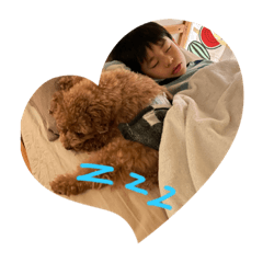 [LINEスタンプ] キヨッタ福丸さん2