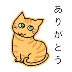 [LINEスタンプ] 祝猫あざらし初デカ文字ほんわか日常挨拶