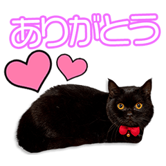 [LINEスタンプ] 中西家のつくねちゃん