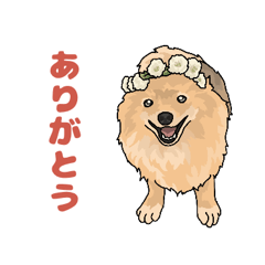 [LINEスタンプ] ポメラニアン＆モルモット1