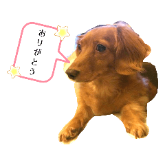 [LINEスタンプ] ありがとう:）