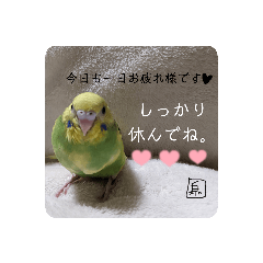 [LINEスタンプ] 泉家のひと言