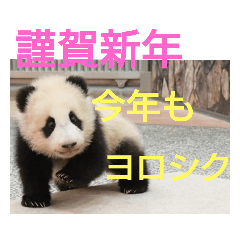 [LINEスタンプ] たけしのスタンプ 年始年末2