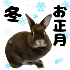 [LINEスタンプ] 冬・お正月のウサギのくーちゃんの画像（メイン）