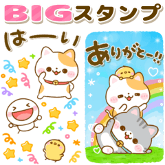 [LINEスタンプ] ねこねこにゃんこ♡大人の気遣い