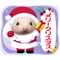 [LINEスタンプ] フェレット 花鈴と空のイベント スタンプ