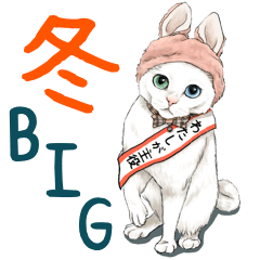 [LINEスタンプ] 冬に何かと使える猫にまみれたがりスタンプ