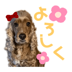 [LINEスタンプ] MIYU_20221210