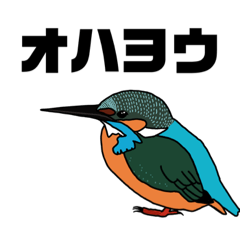 [LINEスタンプ] やんごとなき野鳥スタンプ