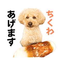 [LINEスタンプ] ちわぱぴといぷ