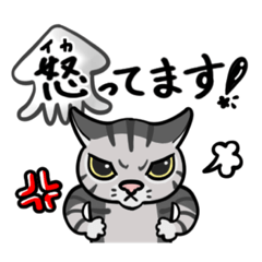 [LINEスタンプ] イカ耳ねこ 子生意気な猫たち【修正版】