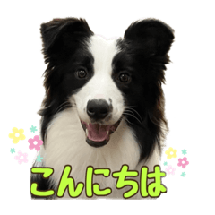 [LINEスタンプ] Best Treasure family 2