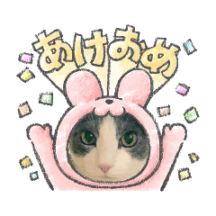 [LINEスタンプ] りん ねこ